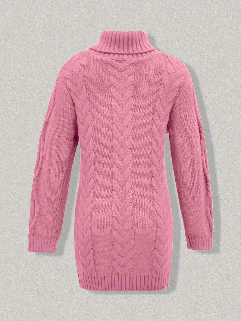 Narda Women's Turtleneck Dress