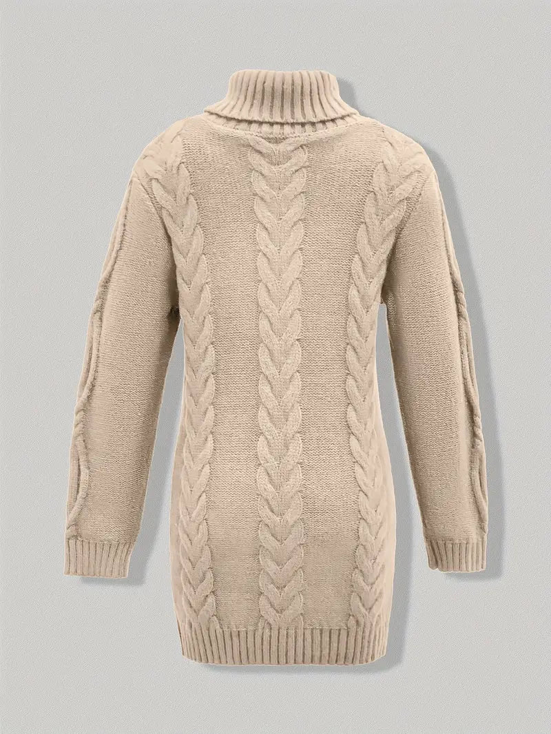 Narda Women's Turtleneck Dress