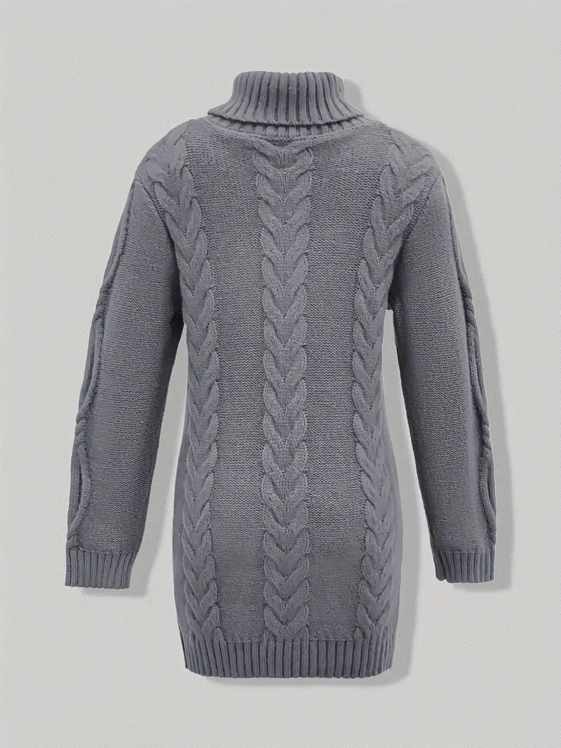 Narda Women's Turtleneck Dress