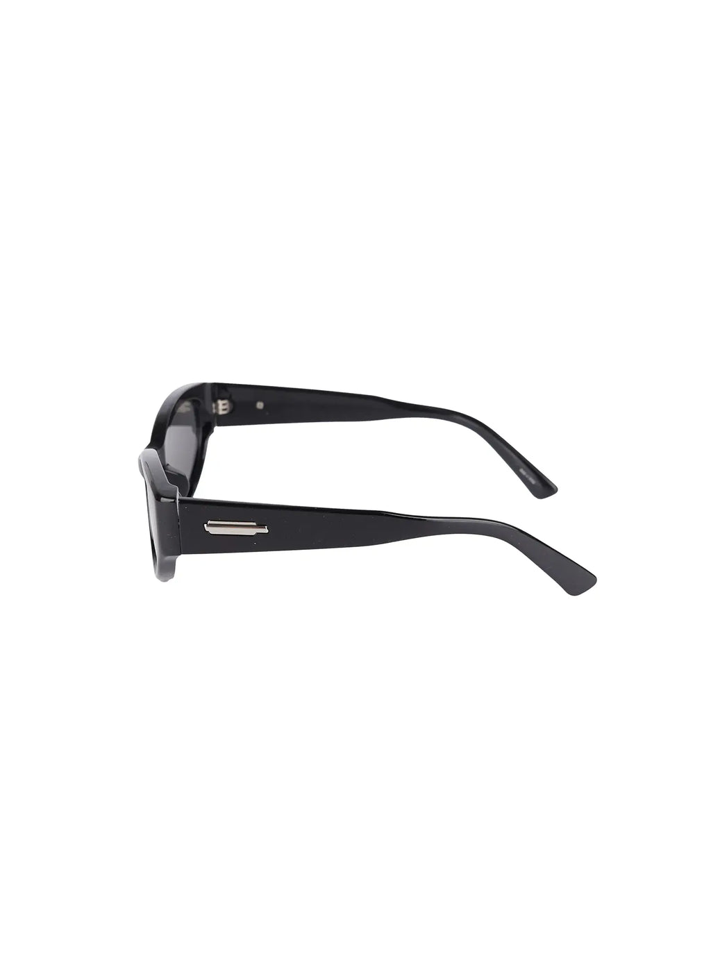 Sunglasses with Accent Color