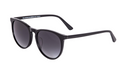 Shiny Black | Smoker Gray Gradient Glasses