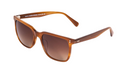 Braun | Vintage Braun Gradient Glasses