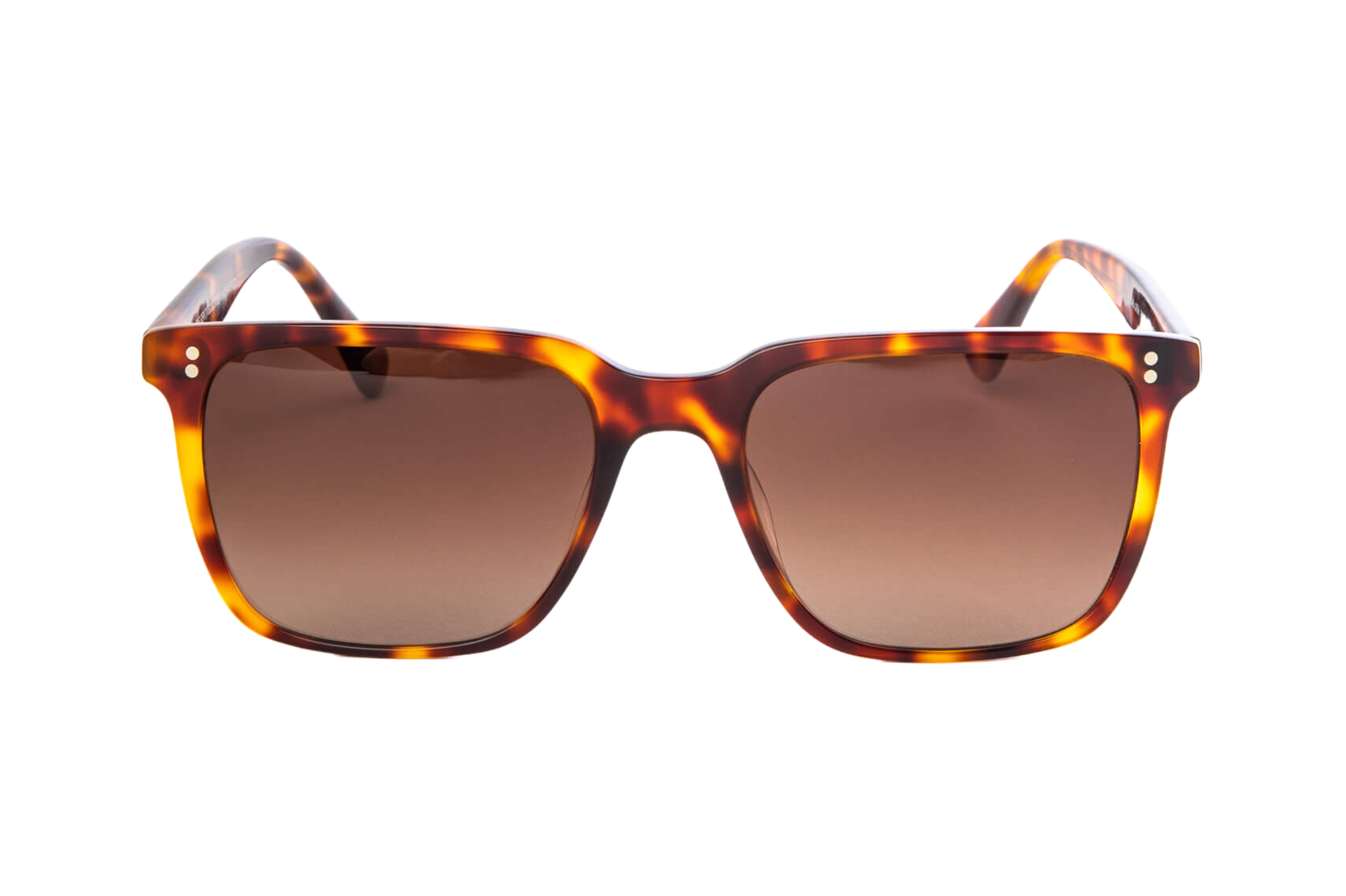 Tortoiseshell | Burgundy Gradient Lens