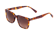 Tortoiseshell | Burgundy Gradient Lens