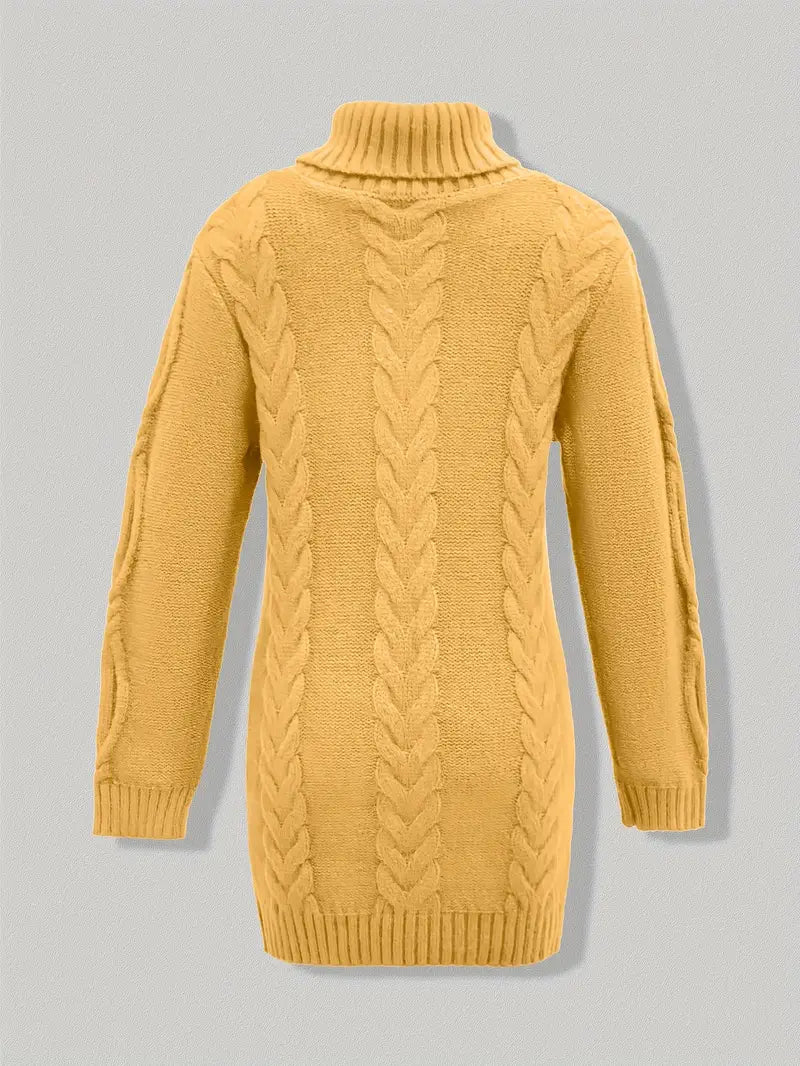 Narda Women's Turtleneck Dress