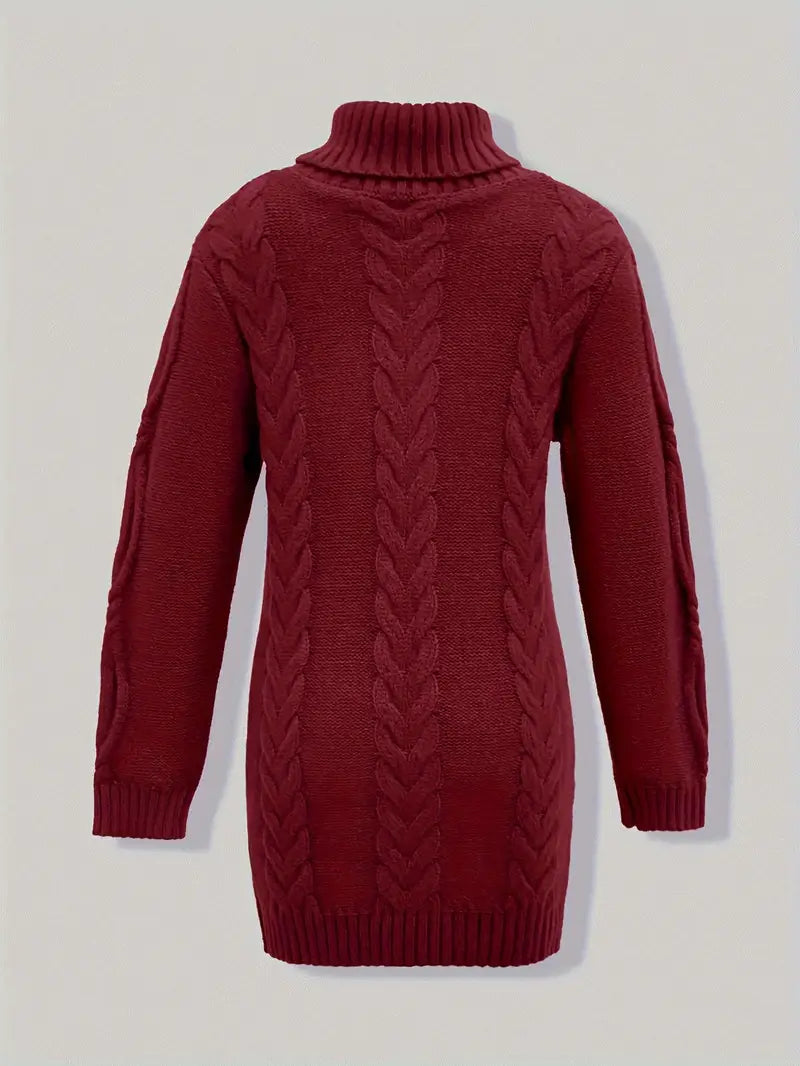 Narda Women's Turtleneck Dress
