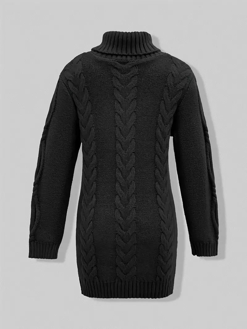 Narda Women's Turtleneck Dress