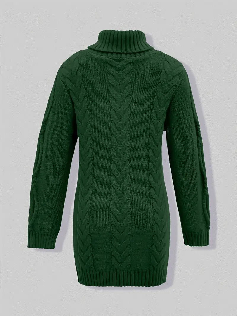 Narda Women's Turtleneck Dress